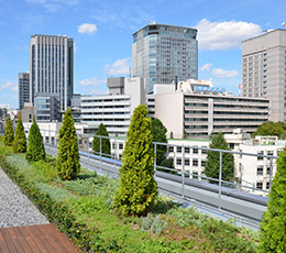 屋上庭園